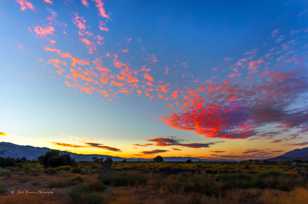Lone Pine sunrise-5155.jpg Lone Pine sunrise-5155.jpg